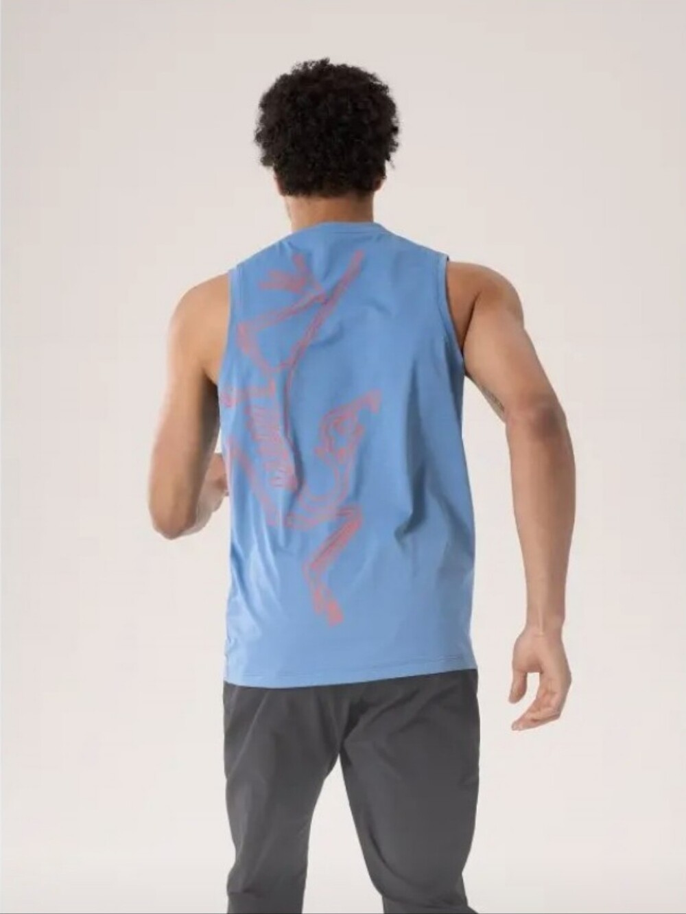 ARCTERYX Cormac Arc'Bird Logo Tank Blue Men's Large Outdoor Activewear Hiking